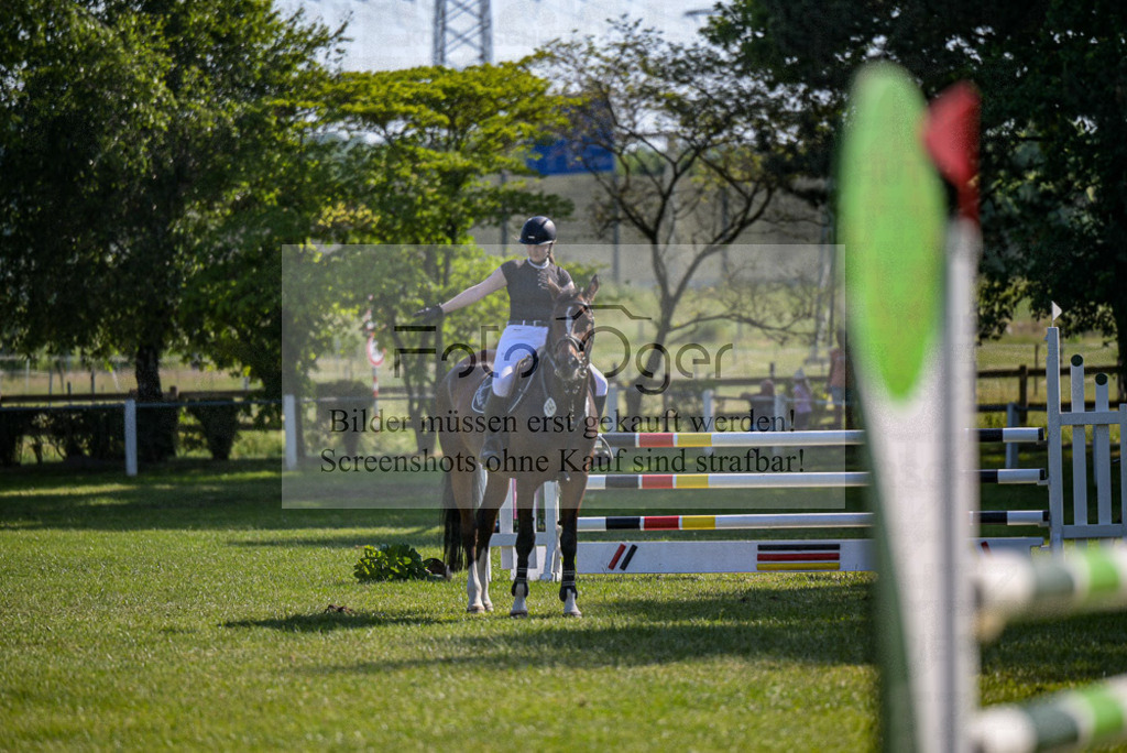 Reitturnier Voxtrup | Entdecke hochwertige Reitturnierfotos von Foto Oger. Professionell, emotional und authentisch – jetzt Lieblingsmomente im Shop bestellen.Deutschlandweite Turnierfotografie. - Realisiert mit Pictrs.com
