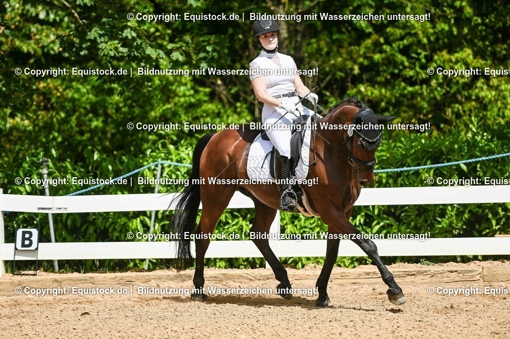 20230715_02_Dressurreiterprüfung Kl.L_0199 | equistock