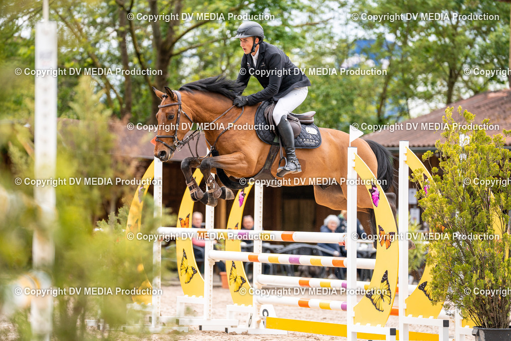 Eppelheim Tag 1-146 | dv-media-shop - Realisiert mit Pictrs.com