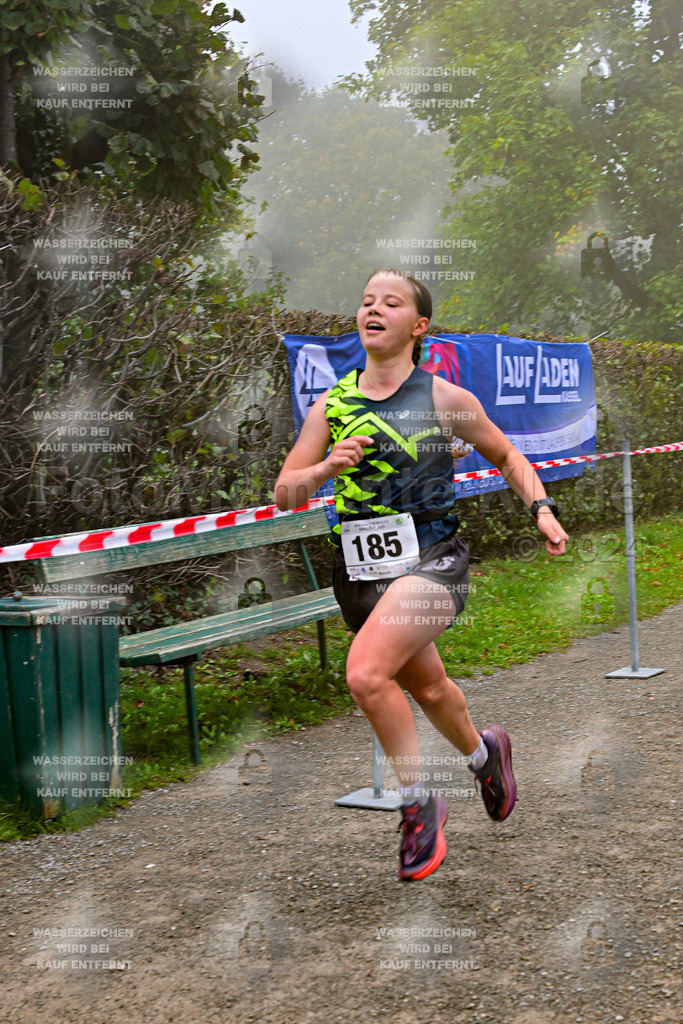 Z8N_1302 | la-psv - Realisiert mit Pictrs.com