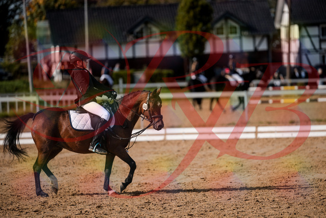 2026_10_03_Siefer-Hof_122138_Z63_45366792 | Professionelle Reitsport-, Turnier- und Eventfotografie von Robert Broda. Galerien mit ausgewählten und bearbeiteten Bildern direkt online ansehen und bestellen.