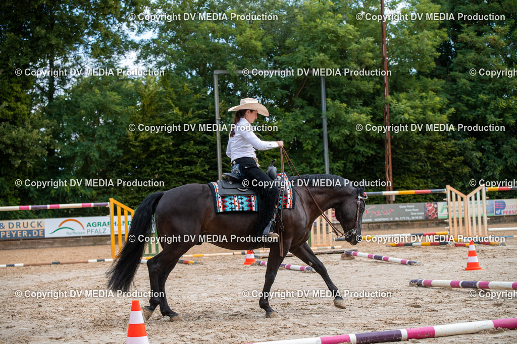 ZS3_9213 | dv-media-shop - Realisiert mit Pictrs.com