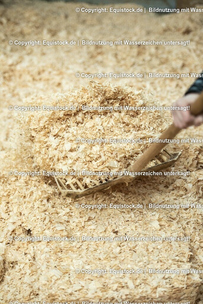 20190409_Einstreu_in_Pferdebox_0042 | Foto: Thomas Hartig