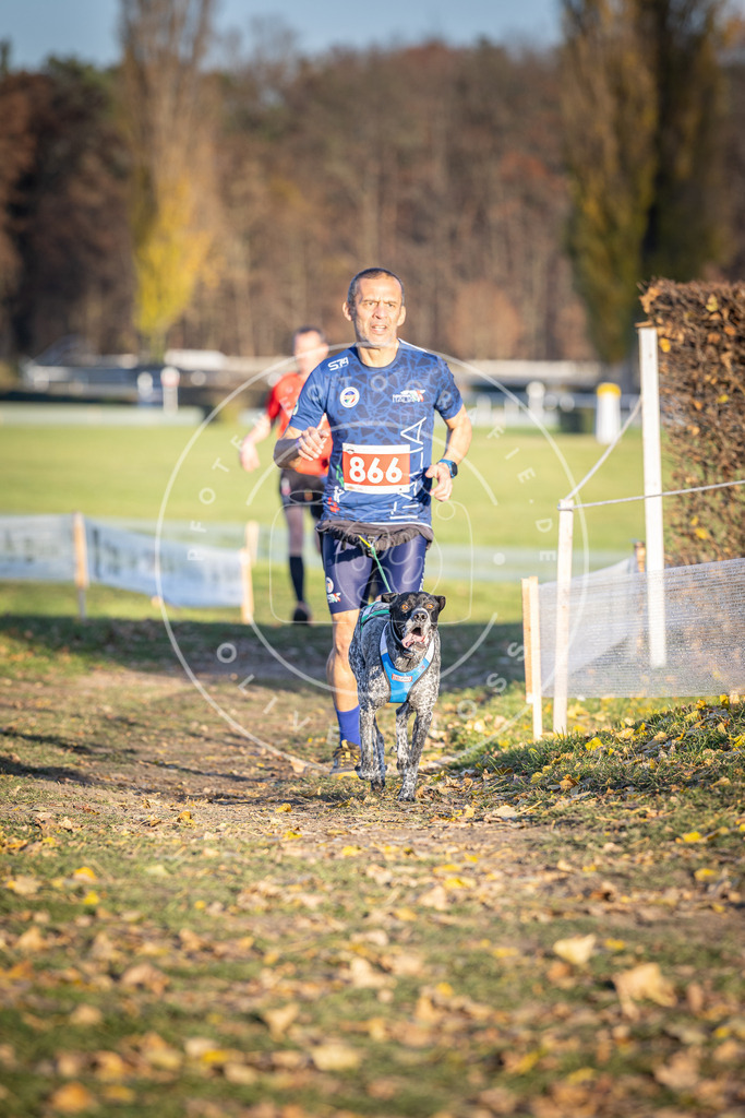 CaniXpix_DV3A4101 | Hundefotografie, Tierfotograf, Pfotenfotografie, Fotoshooting Hund, Hunde Portrait, Hundesport, Hundeportraits, Heideshooting, Hunde, Sportfotograf, Hundefotograf, Turnierhundsport, THS,  - Realisiert mit Pictrs.com