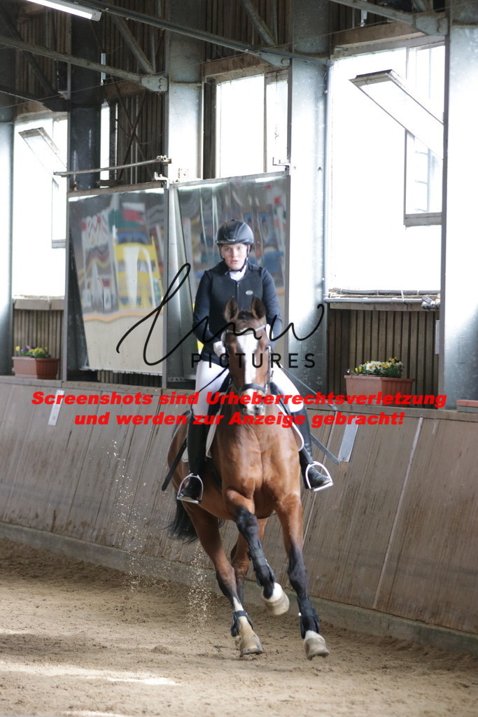 IMG_2586 | lmwpictures - Realisiert mit Pictrs.com