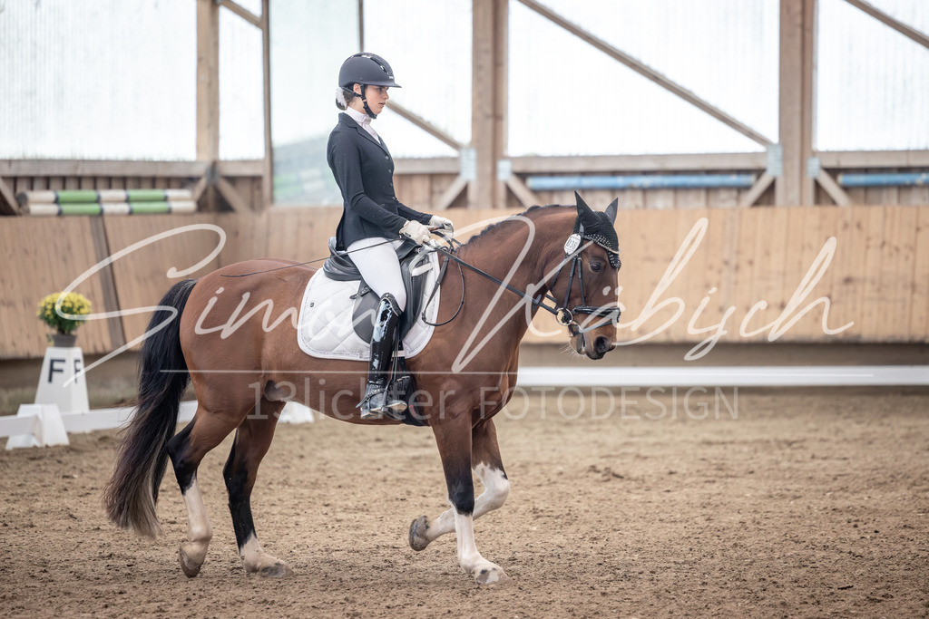20251011-_3LI0430 | Tierfotografie Pferde, Hunde, Katzen, Haustiere.
Turnierfotografie Reitturniere, Reiten, Springreiten, Dressur in Hanau, dem Main-Kinzig-Kreis und dem Rhein-Main- Gebiet um Frankfurt