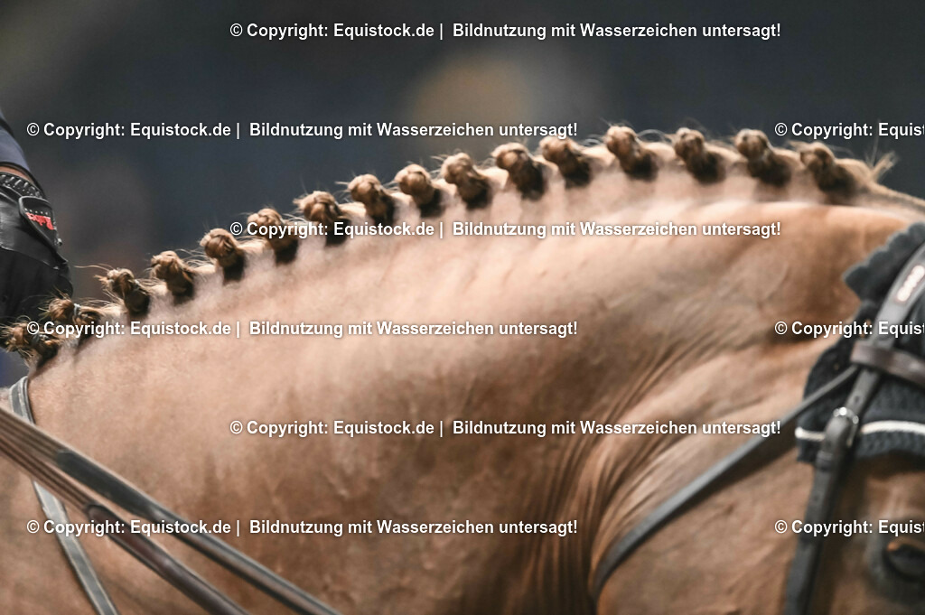 20231116_PREIS DER BARDUSCH GMBH_0120_TOMsPiC | Foto: Thomas Hartig