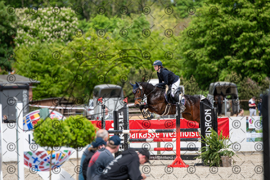 KPT_5625 | andre_photographic