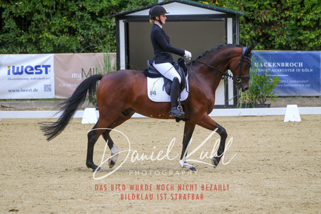 DKP41009 | Turniersportfotografie; Pferdefotografie; Dressurfotografie