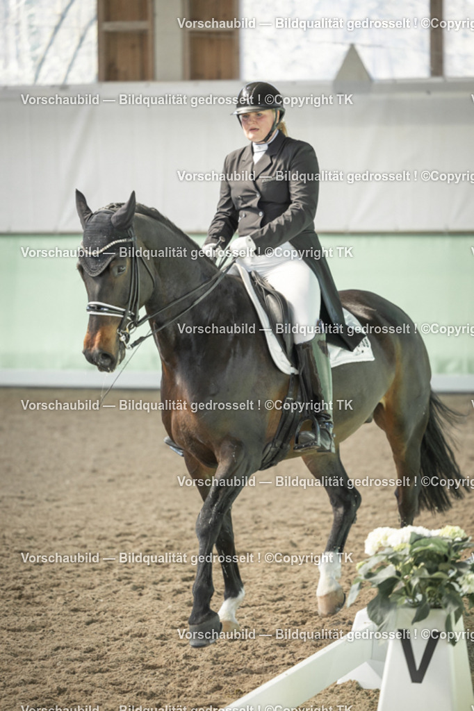 _D5A1889 | Emotionale Pferde- & People-Fotografie rund um Heidelberg, Leimen & Umgebung. Natürliche Fotos von Pferd, Mensch & Familie. Jetzt Termin sichern!