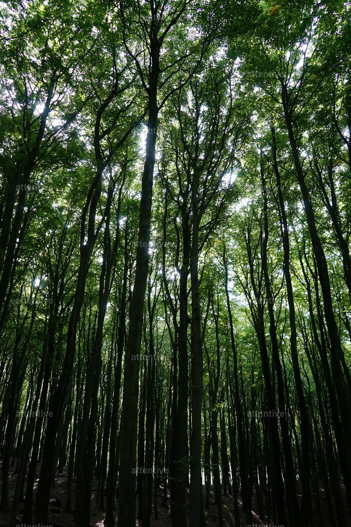 Lichtstrahlen | Deutschland, Rügen - Realisiert mit Pictrs.com