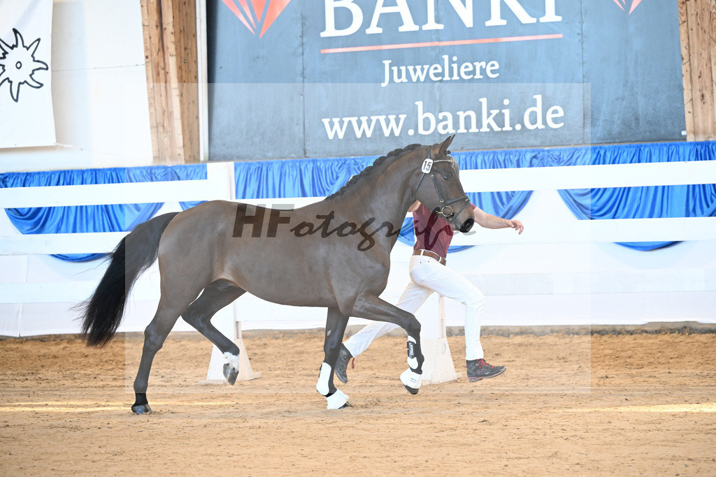 Kat-Nr. 15 Eric v. Eichsfelder_Rogge_8260333 | hf-fotografie - Realisiert mit Pictrs.com