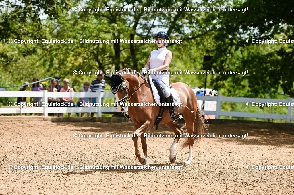20230716_03_Dressurprfg. Kl.L - Tr._0531 | equistock