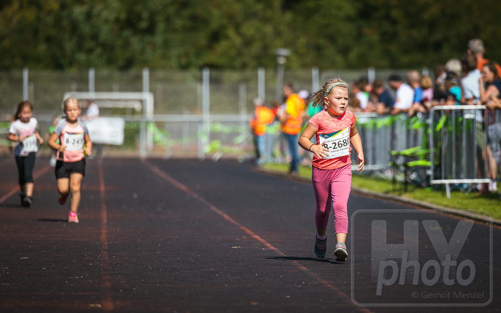 GM_20230916_246984_Canon EOS R5_GMHY6617_RAW_s3900 | Webshop der Firma HY-photo, bietet Fotos und Fotoprodukte vorrangig mit Motiven aus Hoyerswerda und Umgebung, aber auch weltweit. Fotograf: Gernot Menzel - Realisiert mit Pictrs.com