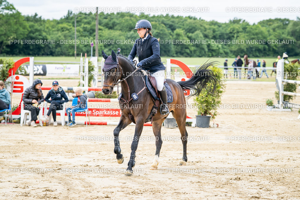 DSC05044 | Pferdegrafie