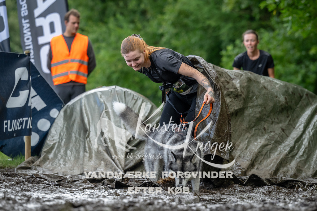 1156_ZZ90461 | kk-dogfotos