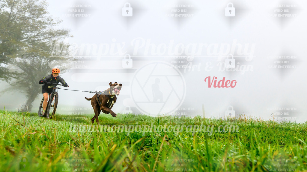 MompixPhotography_20TSB_E5_DS1-34 | PayLife