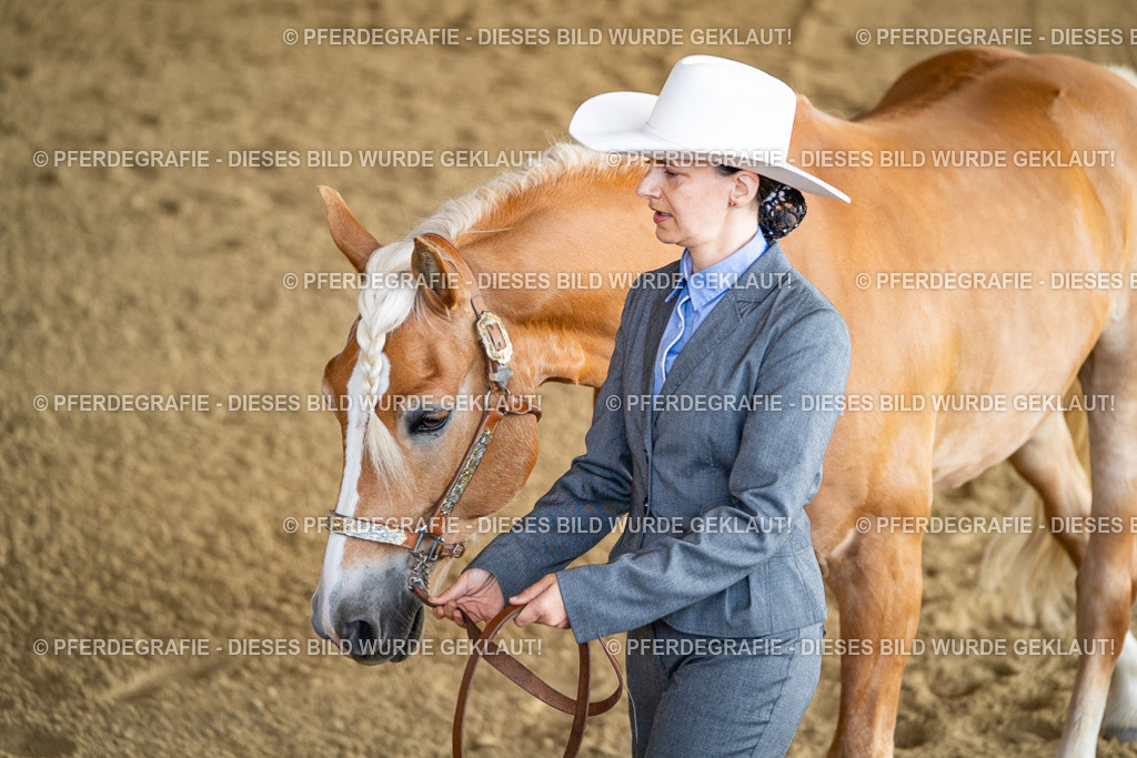 DSC07588 | Pferdegrafie