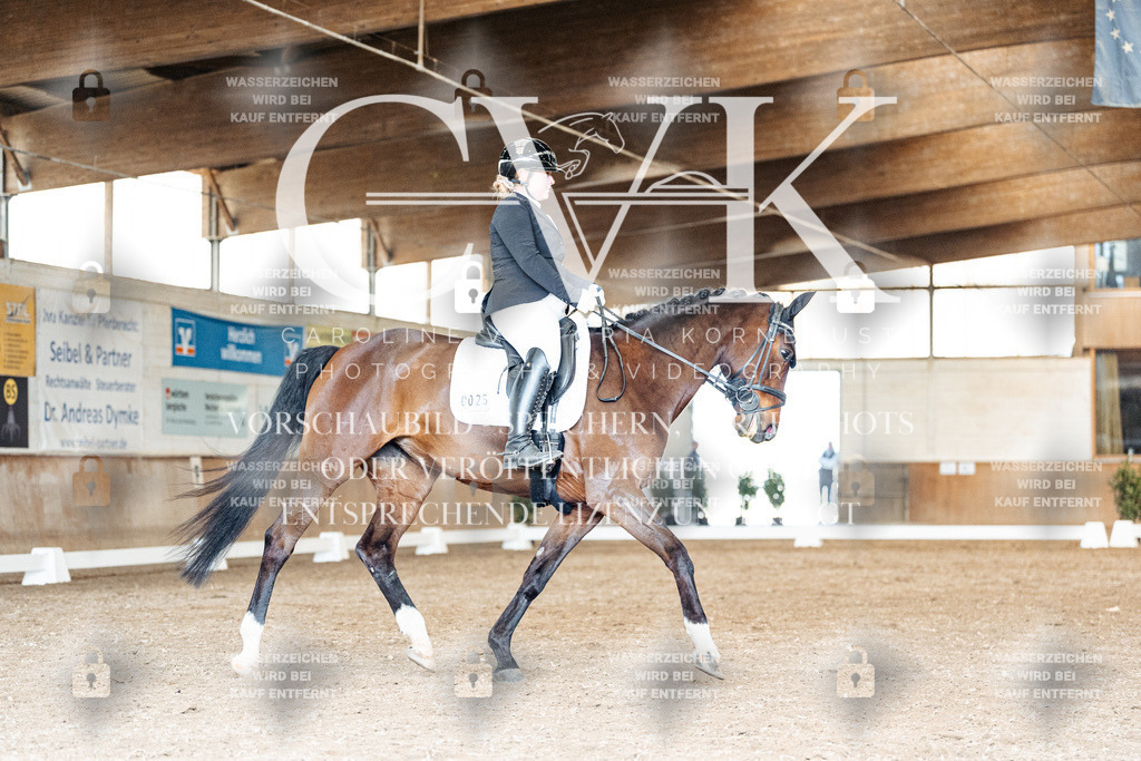 CK901617 | Turnierfotografie Pferdefotografie Trier Rheinland-Pfalz Pferdesport Reitsport Tierfotografie Sportfotografie Pferdevideo Pferdevideografie Equestrianvideography equestrianphotography  - Realisiert mit Pictrs.com