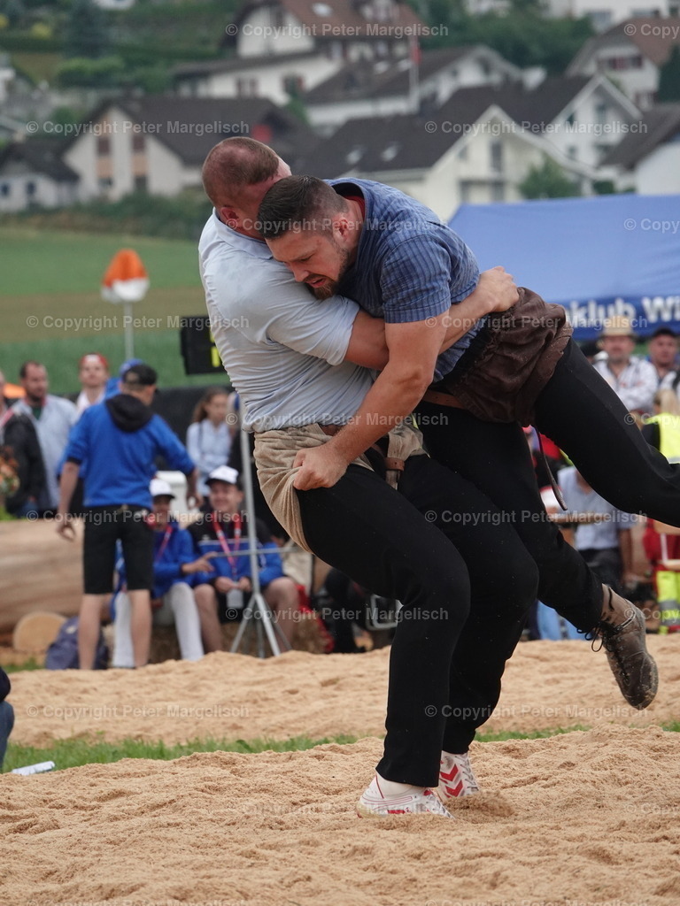 DSC04856 | Schwingen - Realisiert mit Pictrs.com