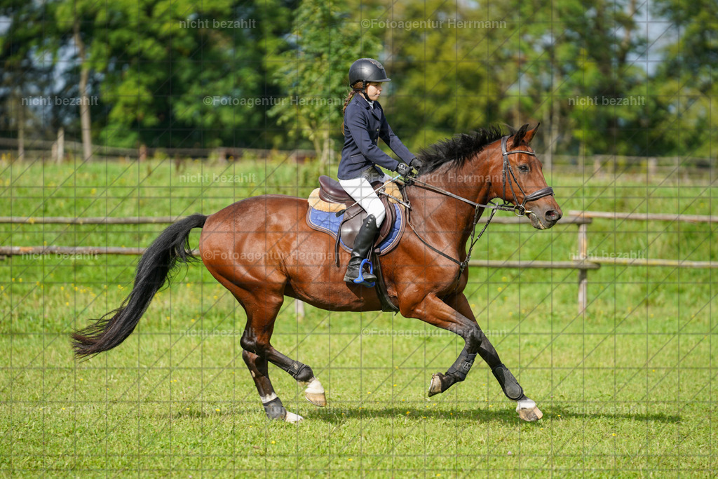 20230917-FAH09212 | Landsberg am Lech, 2023, Kaufbeuren, Kempten, Allgäu, Turnierfotografen Bayern, Fotoagentur Herrmann, Turnierbilder, Reitsport Fotos, Pferdefotograf, Augsburg, Bad Tölz, Dachau, Karlsfeld, Memmingen, Buchloe, Schwabmünchen