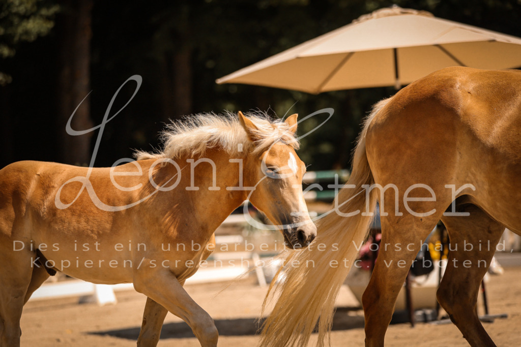 06.DoH00011 | Leoni Ertmer Photography - Realisiert mit Pictrs.com