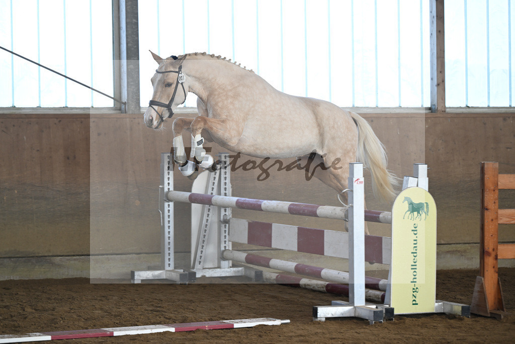 Kat-Nr. 7 Golden Jackpot v. Global Champion_Dirian_49250198 | hf-fotografie - Realisiert mit Pictrs.com