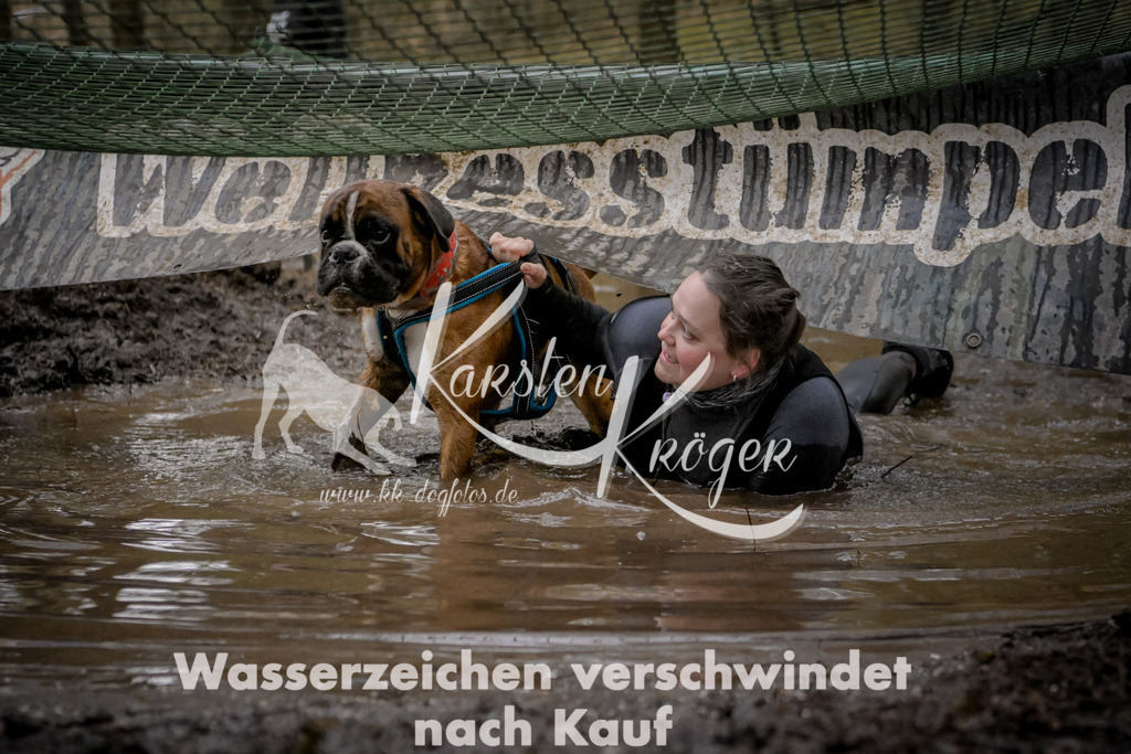 0931_ZZ97920 | kk-dogfotos
