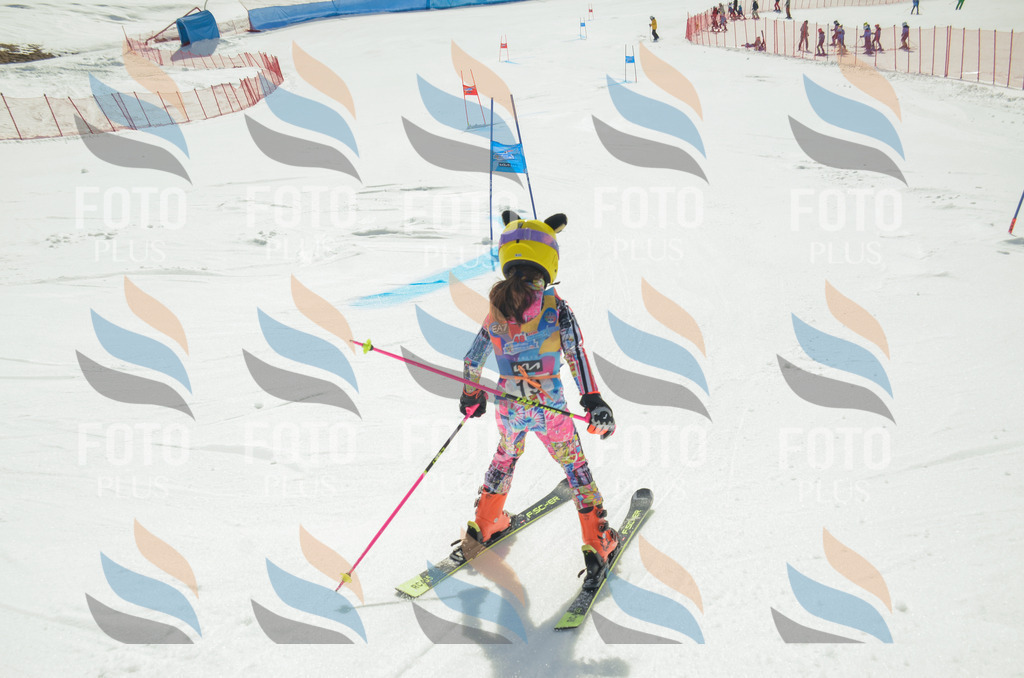 _ELE4713 | holidayphoto