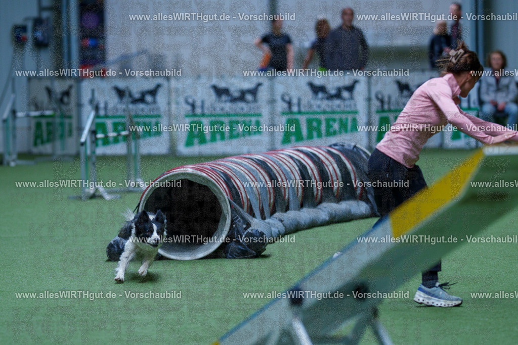 @allesWIRTHgut_Tierfotografie - www.allesWIRTHgut.de - 2604251340-7R503783 | Professionelle Tierfotografie in Mönchengladbach von Daniel Wirth (allesWIRTHgut). Liebevolle & natürliche Bilder von Hunden & Katzen für unvergessliche Erinnerungen.