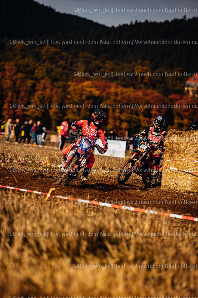 E68A9166 | blick_win_kel