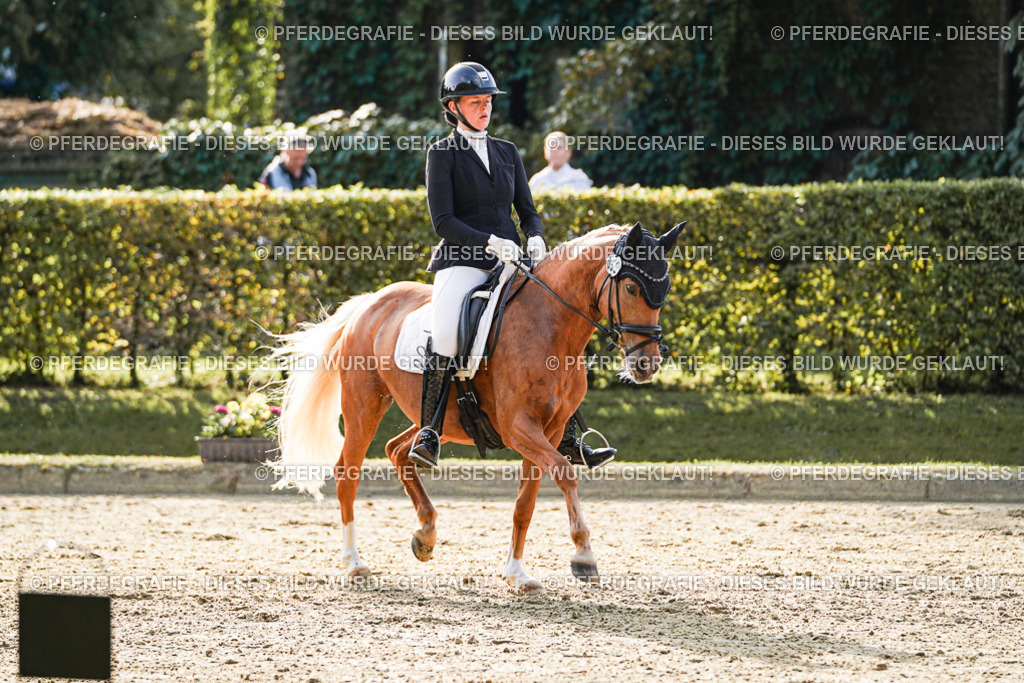 DSC05236 | Pferdegrafie