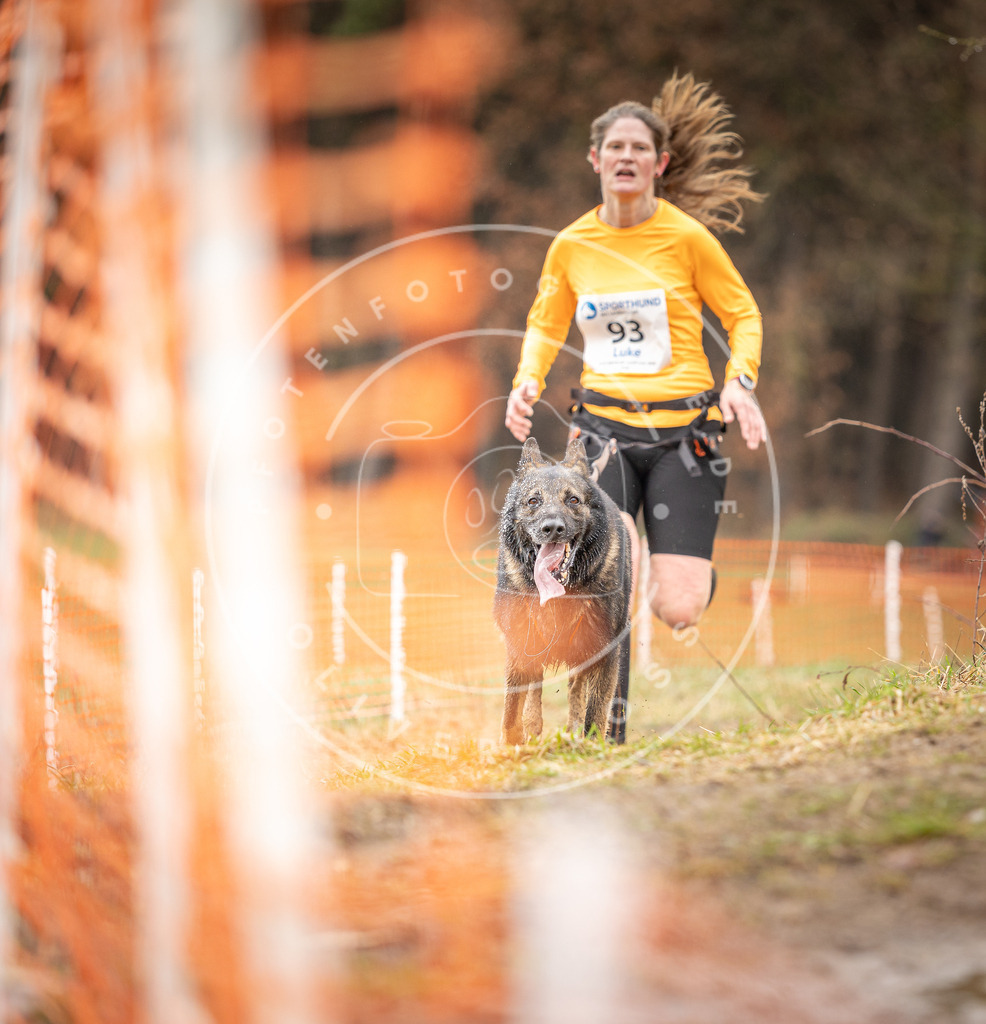DV3A0461 | Hundefotografie, Tierfotograf, Pfotenfotografie, Fotoshooting Hund, Hunde Portrait, Hundesport, Hundeportraits, Heideshooting, Hunde, Sportfotograf, Hundefotograf, Turnierhundsport, THS,  - Realisiert mit Pictrs.com