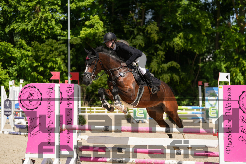 DSC02319 | Julian Held Fotografie - Realisiert mit Pictrs.com