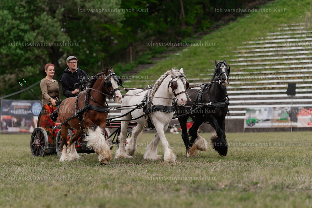Showprogramm-215 | working equitationturnier fotograf videograf stoibphotography marixx film working equitation deutschland reitsport turnierfotografie eventfotografie equestrian events