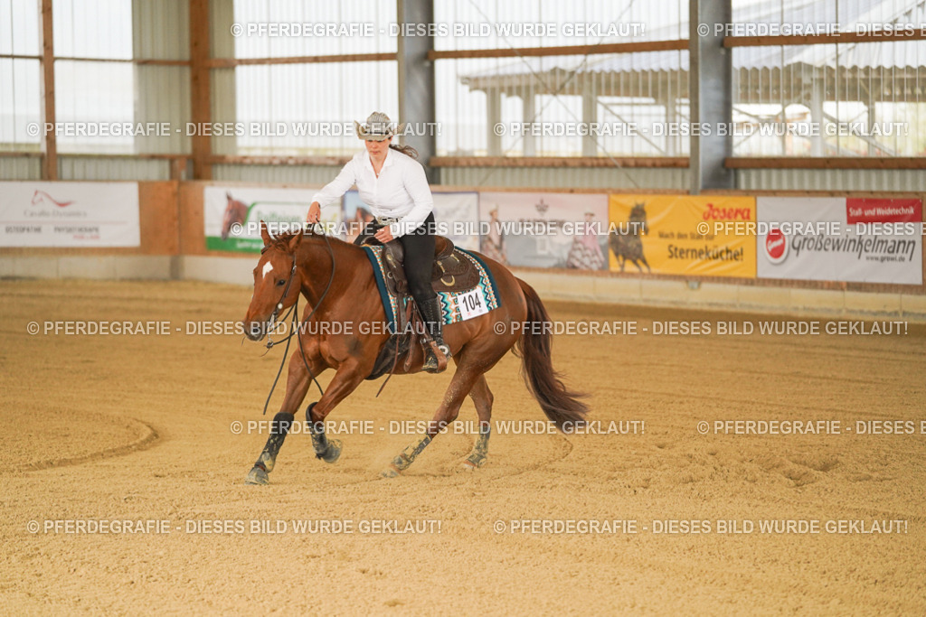 DSC00357 | Pferdegrafie