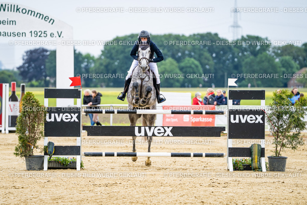 DSC06660 | Pferdegrafie