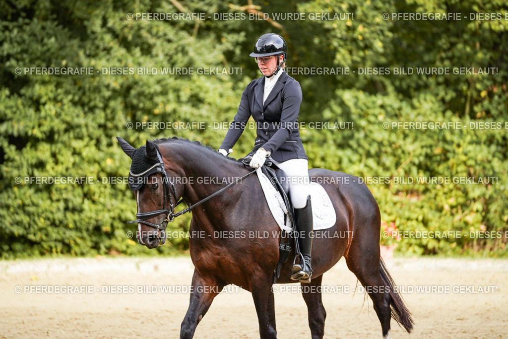 DSC09691 | Pferdegrafie