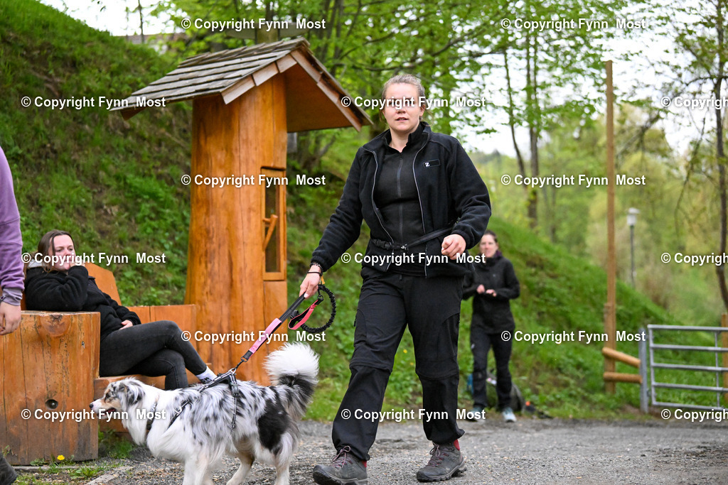 DSC_9641 | Hallo und herzlich Willkommen auf meiner Shop-Seite Fynn Most.

Ich wünsche Dir viel Spaß beim stöbern durch die Bilder, wenn Du Fragen hast oder Bilder vermisst, kannst du mir gerne eine Nachricht schreiben. - Realisiert mit Pictrs.com