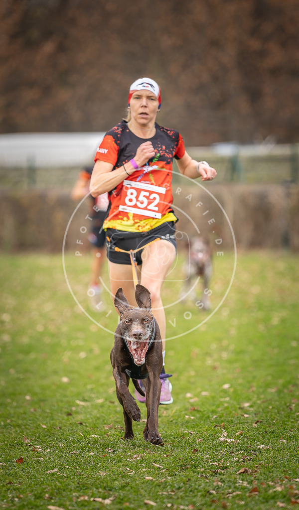CaniXpix_DV3A6372 | Hundefotografie, Tierfotograf, Pfotenfotografie, Fotoshooting Hund, Hunde Portrait, Hundesport, Hundeportraits, Heideshooting, Hunde, Sportfotograf, Hundefotograf, Turnierhundsport, THS,  - Realisiert mit Pictrs.com