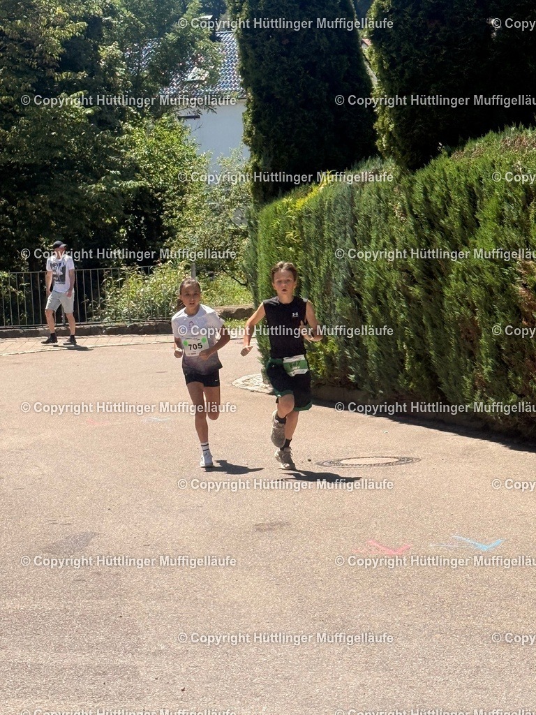 IMG_1706 | Hüttlinger Muffigelläufe - Realisiert mit Pictrs.com