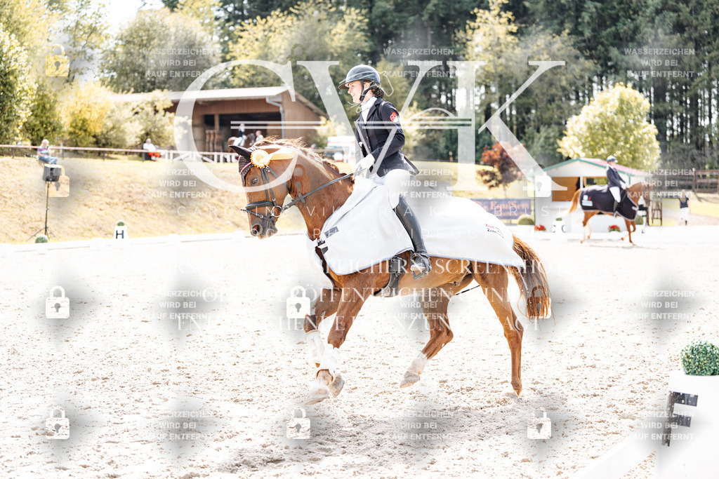CK901010 | Turnierfotografie Pferdefotografie Trier Rheinland-Pfalz Pferdesport Reitsport Tierfotografie Sportfotografie Pferdevideo Pferdevideografie Equestrianvideography equestrianphotography  - Realisiert mit Pictrs.com