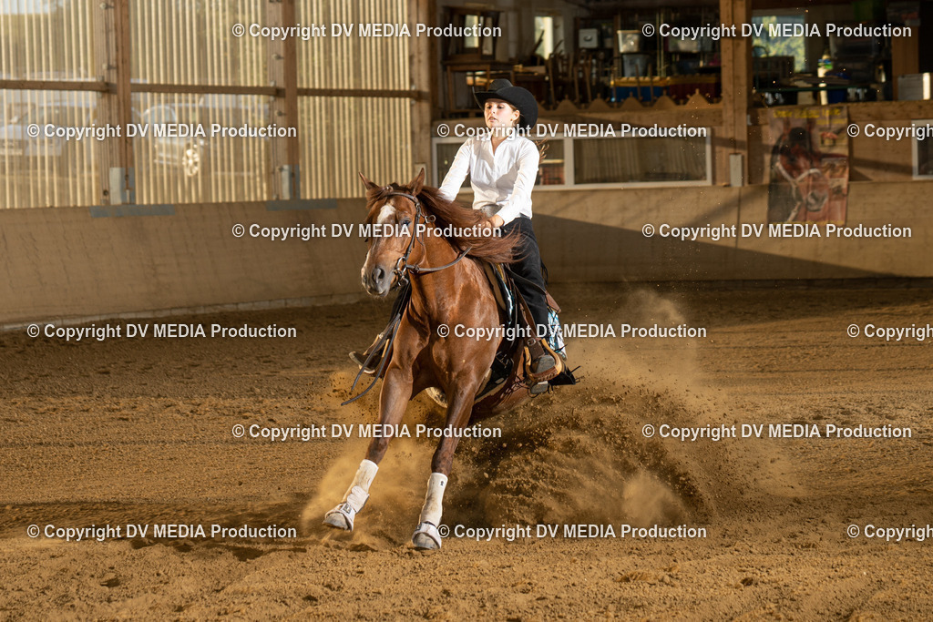 LAU02004 | dv-media-shop - Realisiert mit Pictrs.com