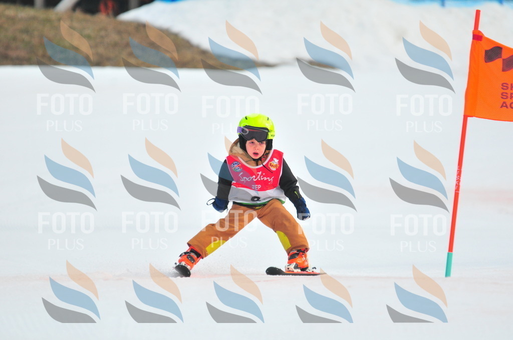 C0847 | holidayphoto