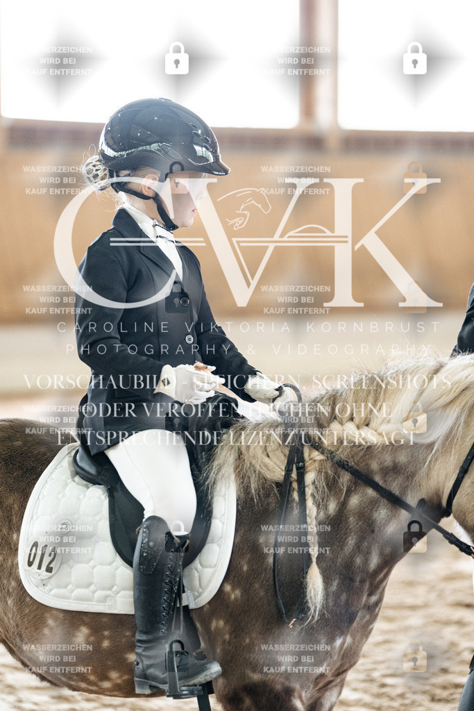 CK902335 | Turnierfotografie Pferdefotografie Trier Rheinland-Pfalz Pferdesport Reitsport Tierfotografie Sportfotografie Pferdevideo Pferdevideografie Equestrianvideography equestrianphotography  - Realisiert mit Pictrs.com
