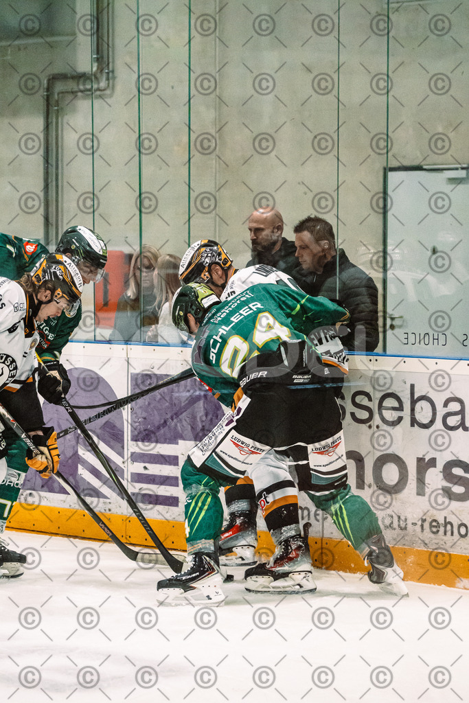 Alligators_vs_Fuessen_27_09_2026-20 | Die Fotogalerie von Daddel: professionelle Bilder von Sport, Events und Unternehmen aus Franken. Jetzt Galerien durchstöbern und Lieblingsfotos bestellen. - Realisiert mit Pictrs.com