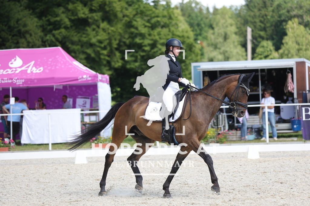 0P6A1633 | Willkommen bei Brunnmayr - Design & Fotografie – Ihrem Spezialisten für Reitturniere und Pferdeveranstaltungen in Oberösterreich, Salzburg und Bayern! Seit über 17 Jahren sind wir leidenschaftlich dabei.
