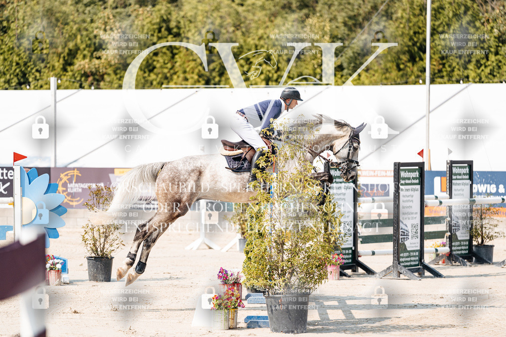 CK901933 | Turnierfotografie Pferdefotografie Trier Rheinland-Pfalz Pferdesport Reitsport Tierfotografie Sportfotografie Pferdevideo Pferdevideografie Equestrianvideography equestrianphotography  - Realisiert mit Pictrs.com