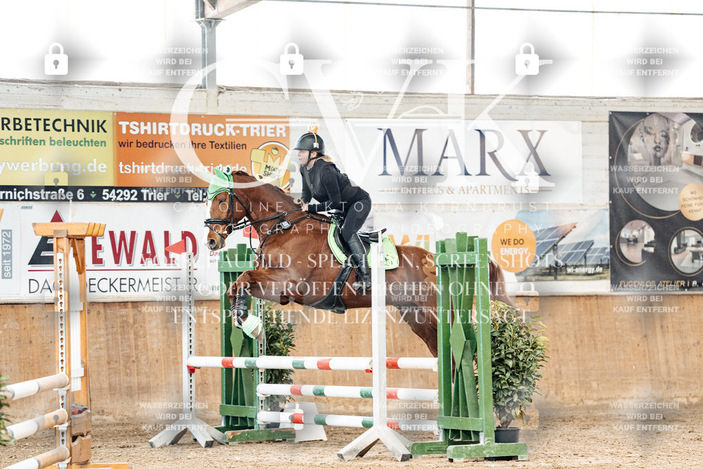 CK905463 | Turnierfotografie Pferdefotografie Trier Rheinland-Pfalz Pferdesport Reitsport Tierfotografie Sportfotografie Pferdevideo Pferdevideografie Equestrianvideography equestrianphotography  - Realized with Pictrs.com