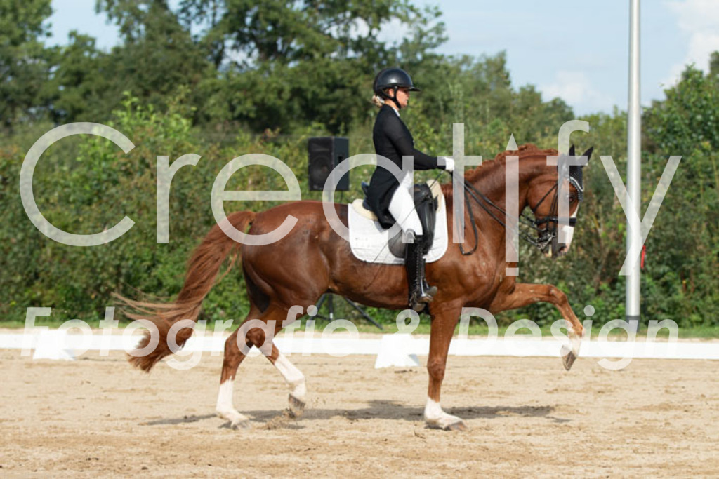 IMG_4212 | Creatify Fotografie